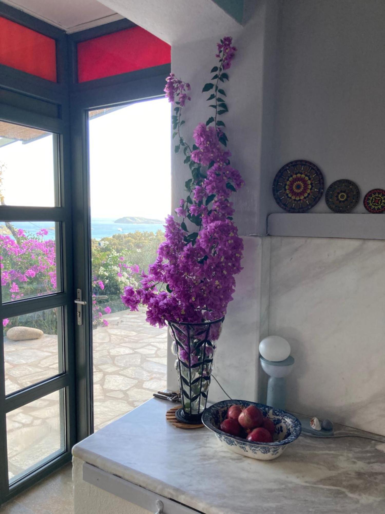 Tierra Βίλα Σκιάθος Πόλη Εξωτερικό φωτογραφία