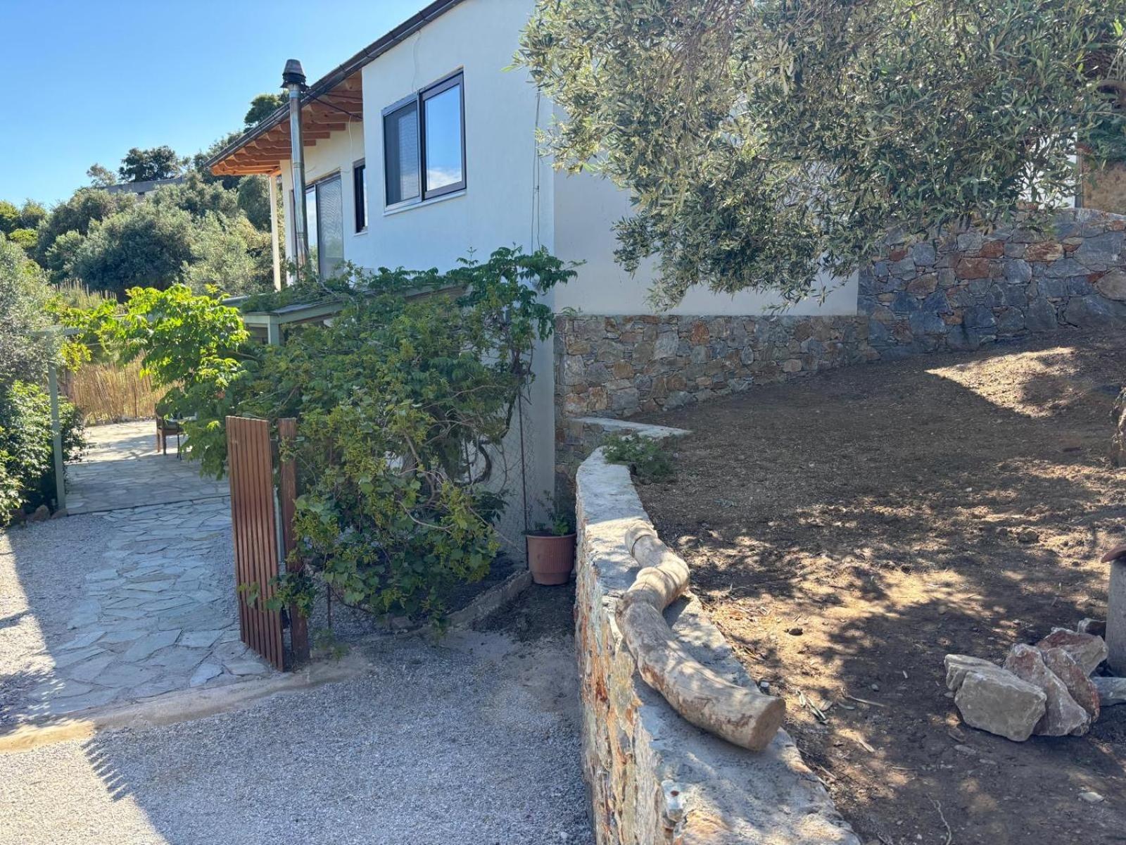 Tierra Βίλα Σκιάθος Πόλη Εξωτερικό φωτογραφία