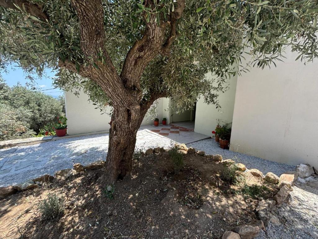 Tierra Βίλα Σκιάθος Πόλη Εξωτερικό φωτογραφία